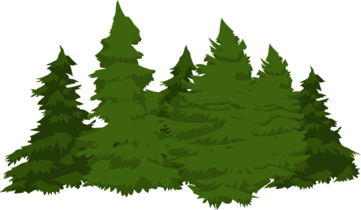 pines-576574_640 (1).png